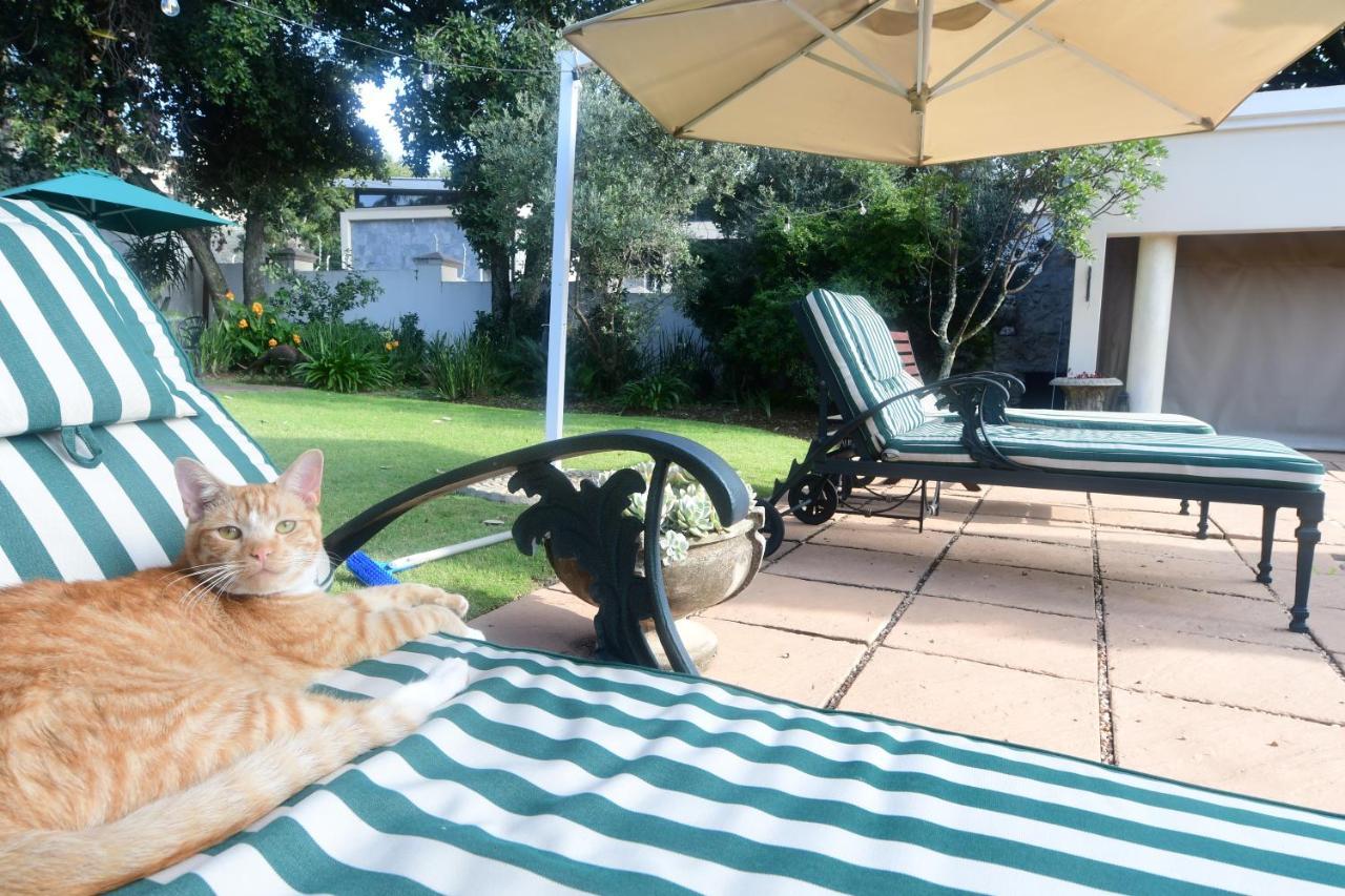 Highgrove Guesthouse Johannesburg Exterior photo