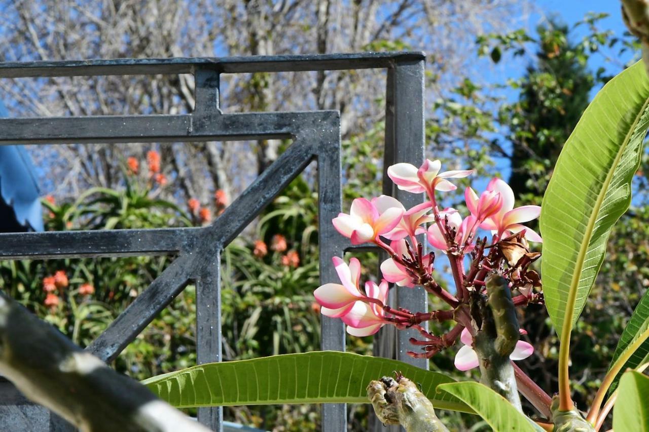Highgrove Guesthouse Johannesburg Exterior photo